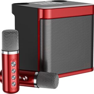 Karaoke Machine for Adults & Kids,Portable Bluetooth Karaoke Speaker with 2 Wireless Microphones PA Speaker System for Indoor Outdoor Party, Family Party